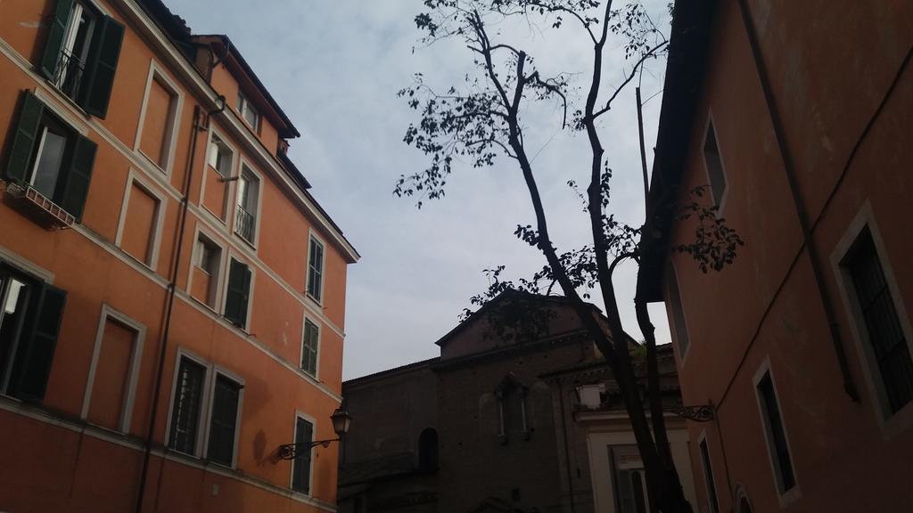 Il Cuore Di Trastevere_design *